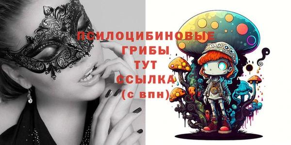 гашик Богданович
