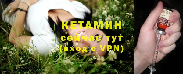 гашик Богданович