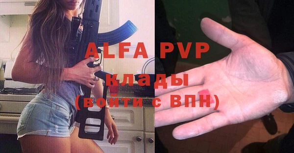 гашик Богданович