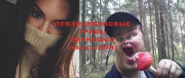 гашик Валуйки